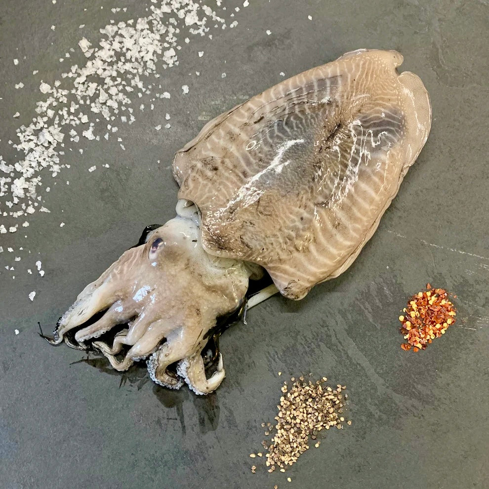 Sepia im Algarve-Stil | ABC+